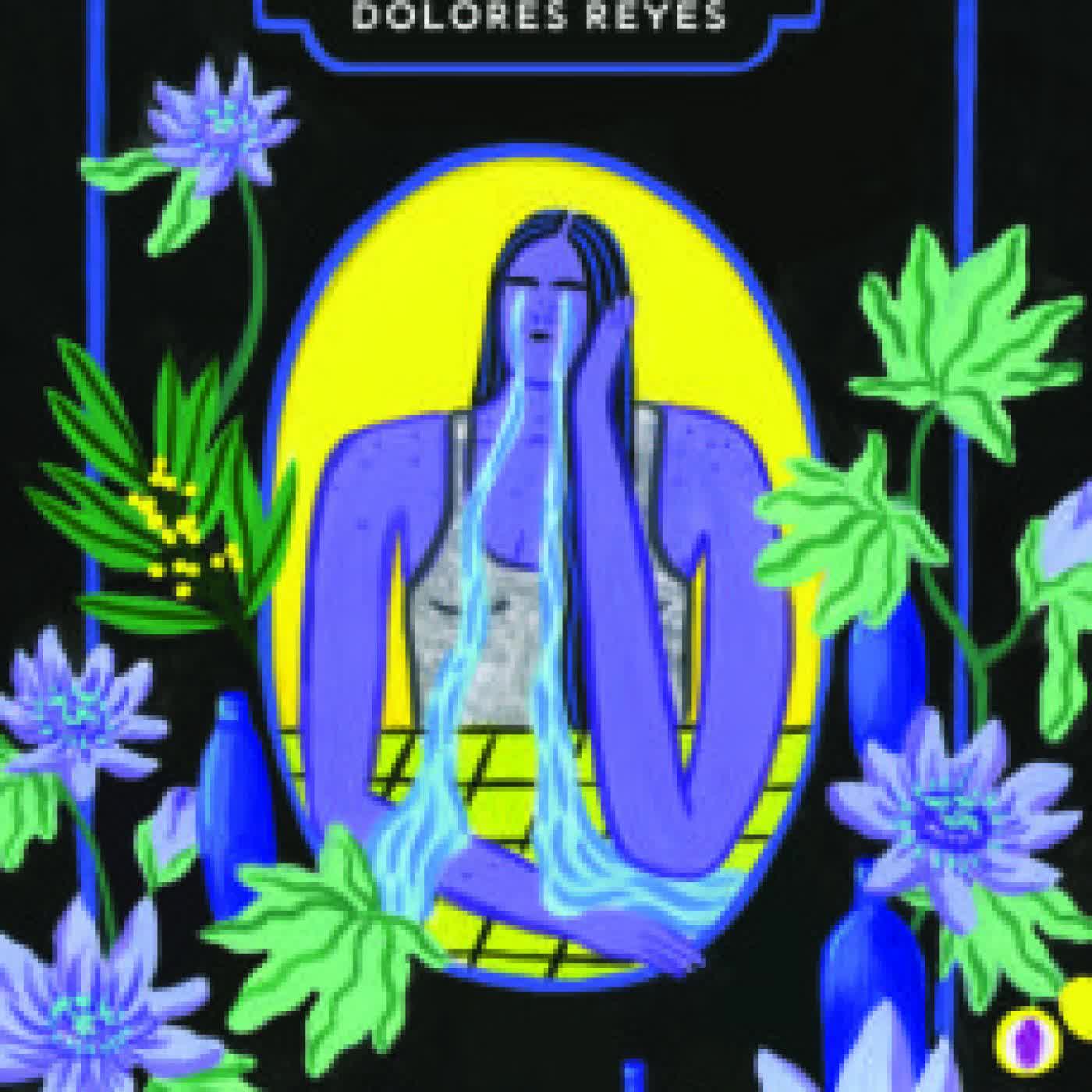 COMETIERRA DOLORES REYES