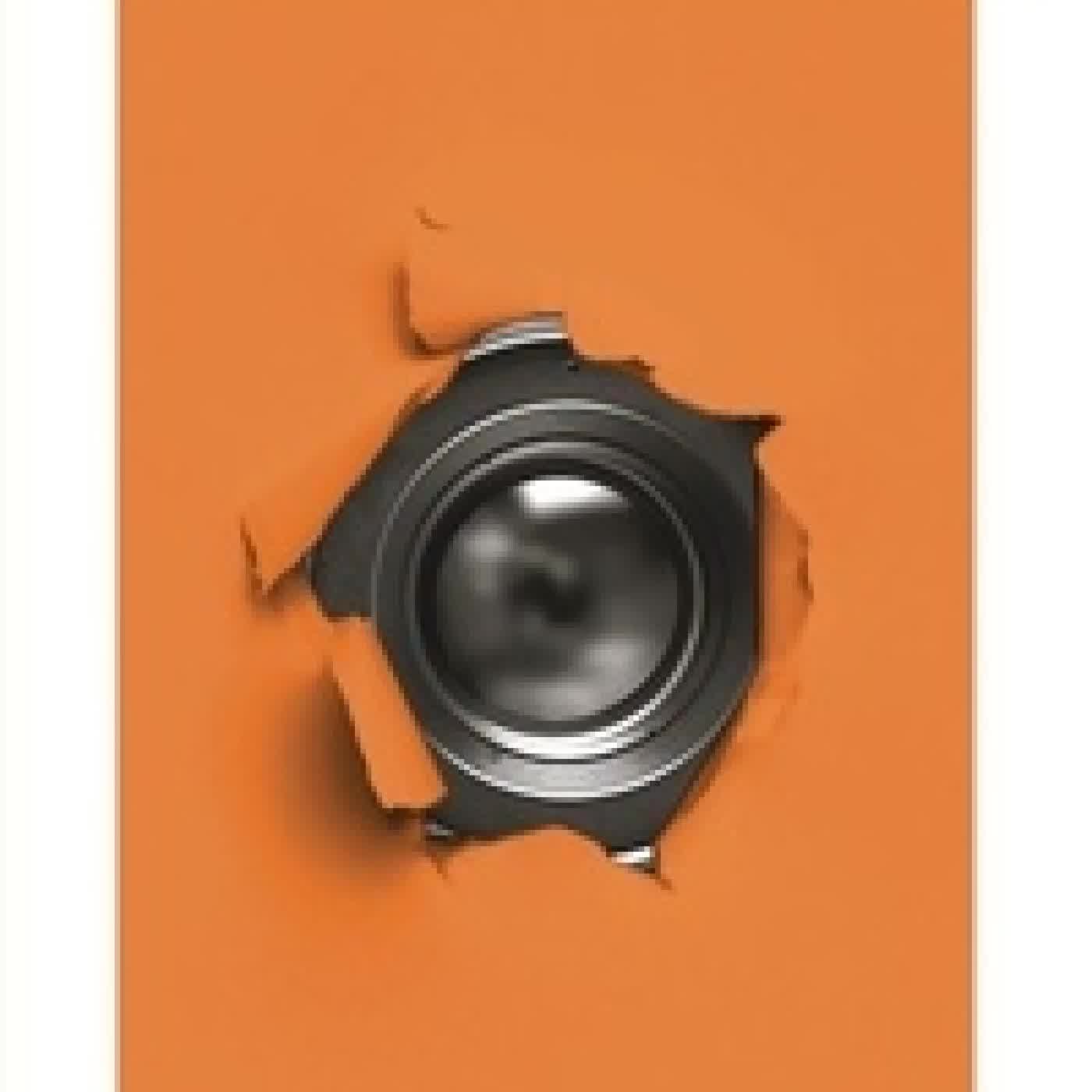 Lire en ligne : Les négatifs