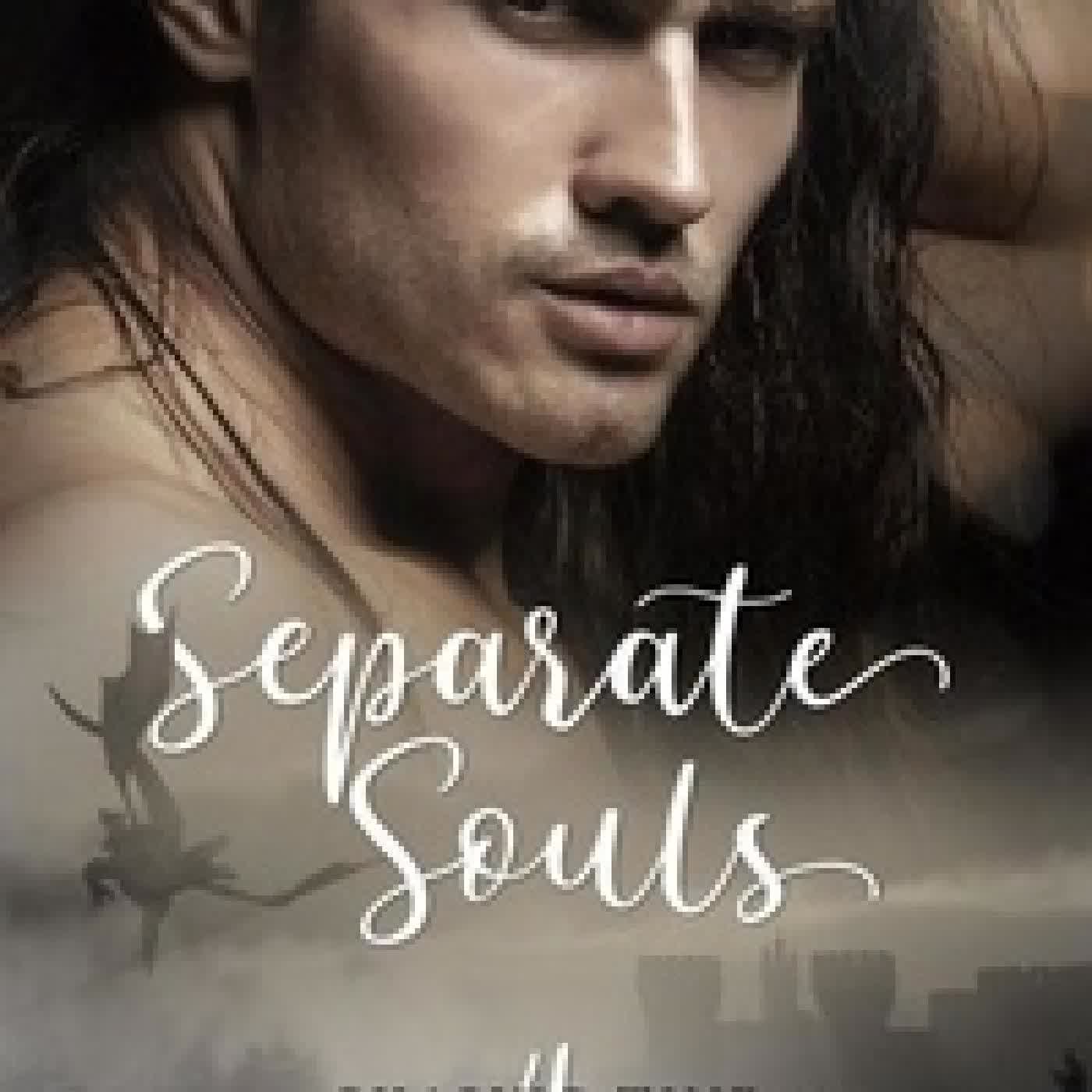 Télécharger Pdf Separate Souls - Chasing Time, #4