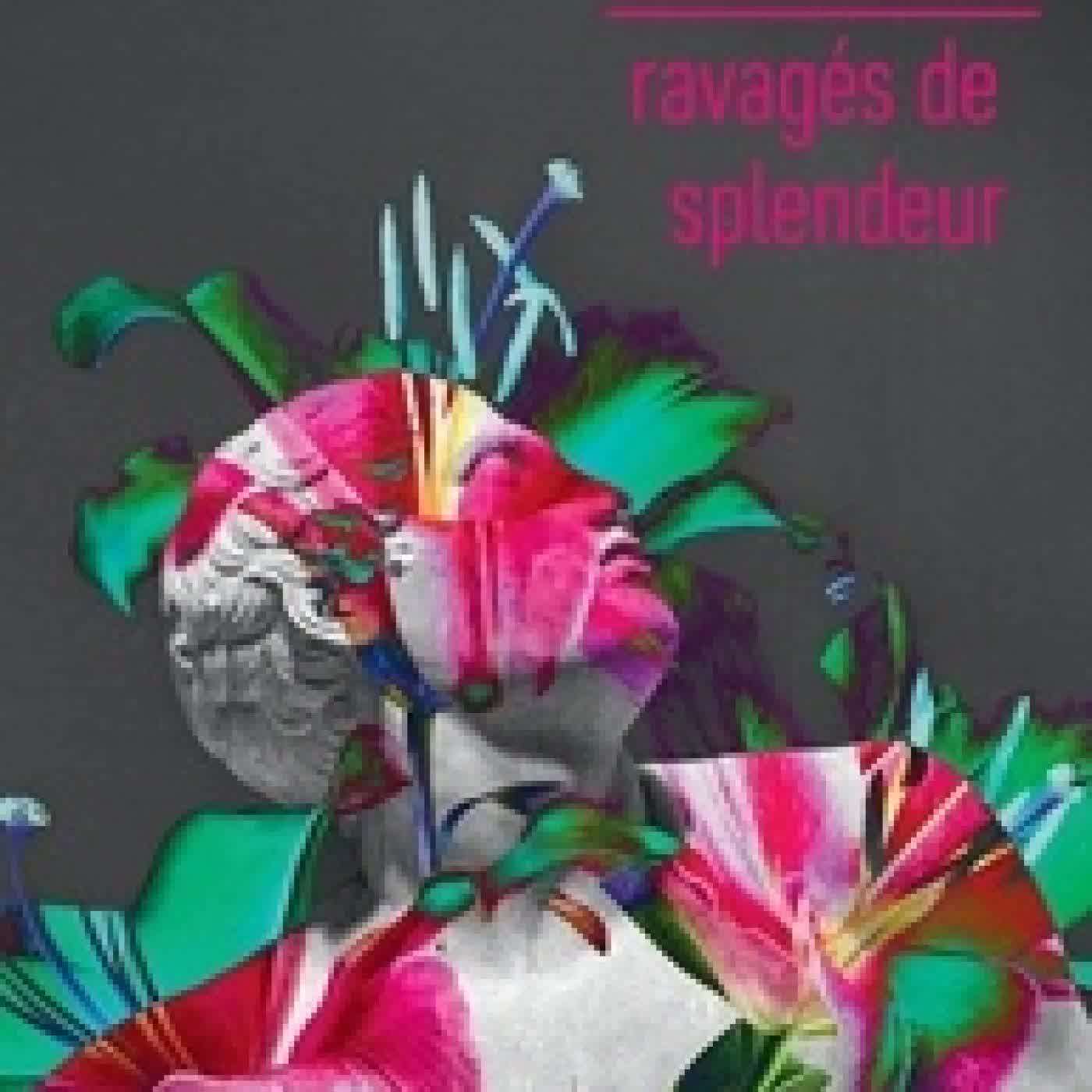 Lire en ligne : Ravagés de splendeur