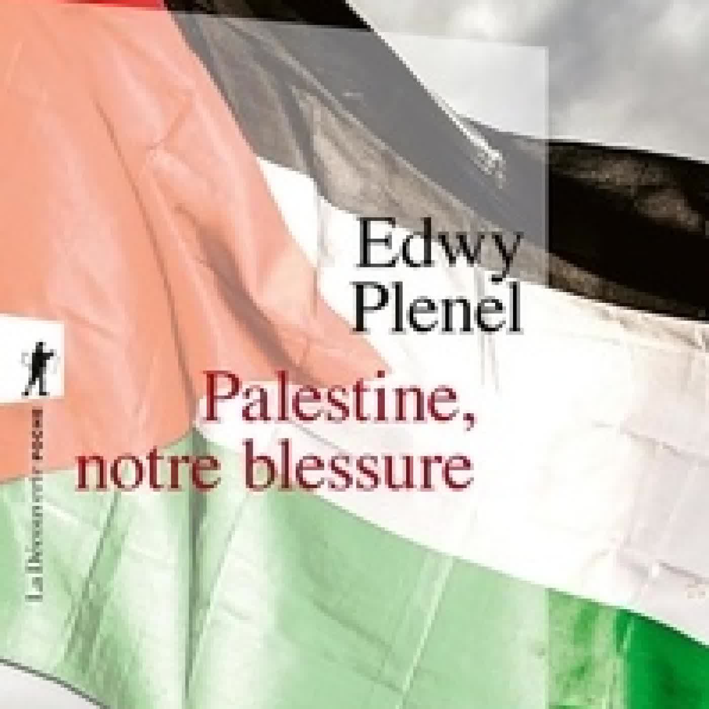 Télécharger Pdf Palestine, notre blessure