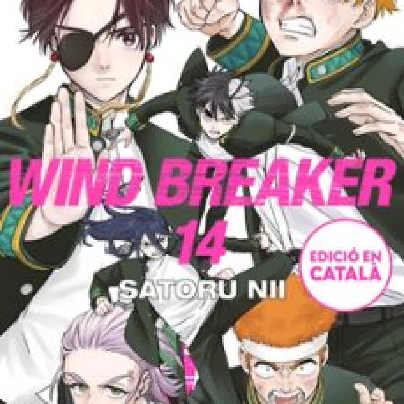 WIND BREAKER (EDICIÓ EN CATALÀ) 14 Satoru Nii