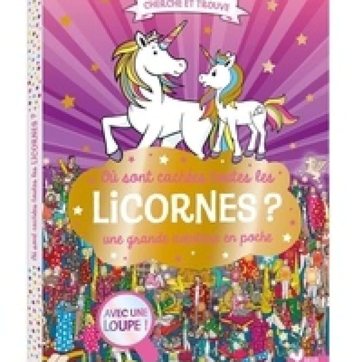 Télécharger Pdf Où sont cachées toutes les licornes ?. Une grande aventure en poche - Avec une loupe !