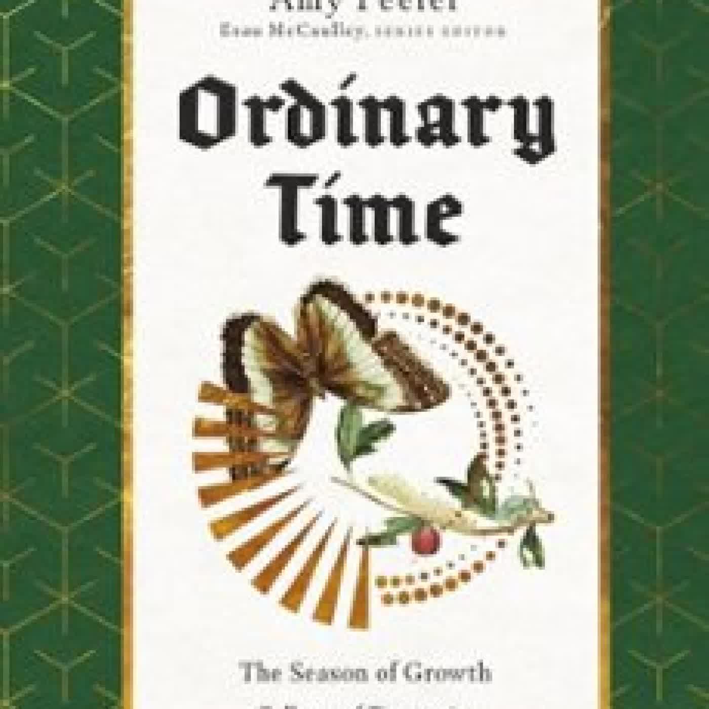 ORDINARY TIME AMY PEELER