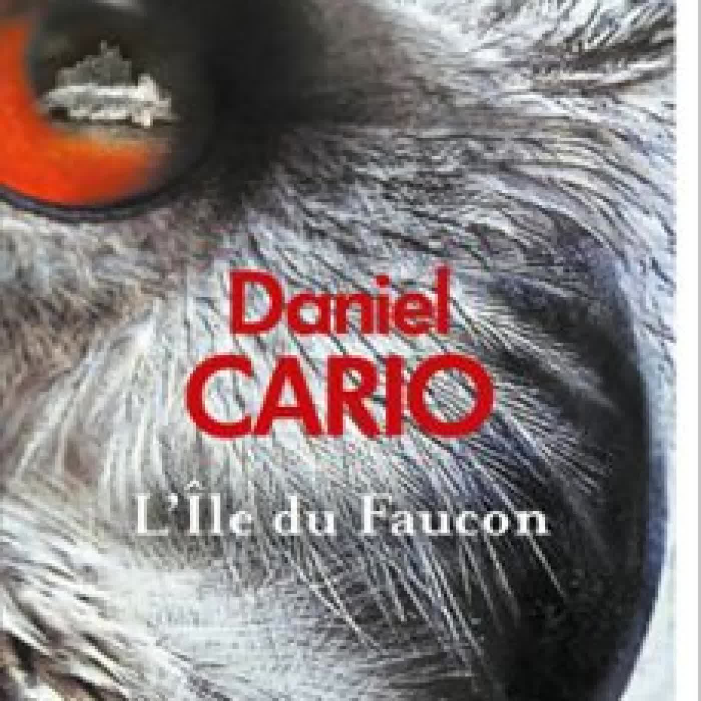 L'ILE DU FAUCON DANIEL CARIO