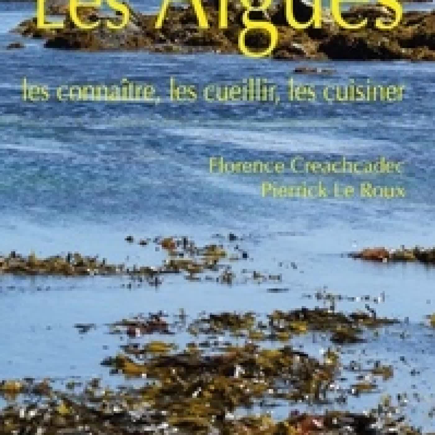 {téléchargement} Les algues