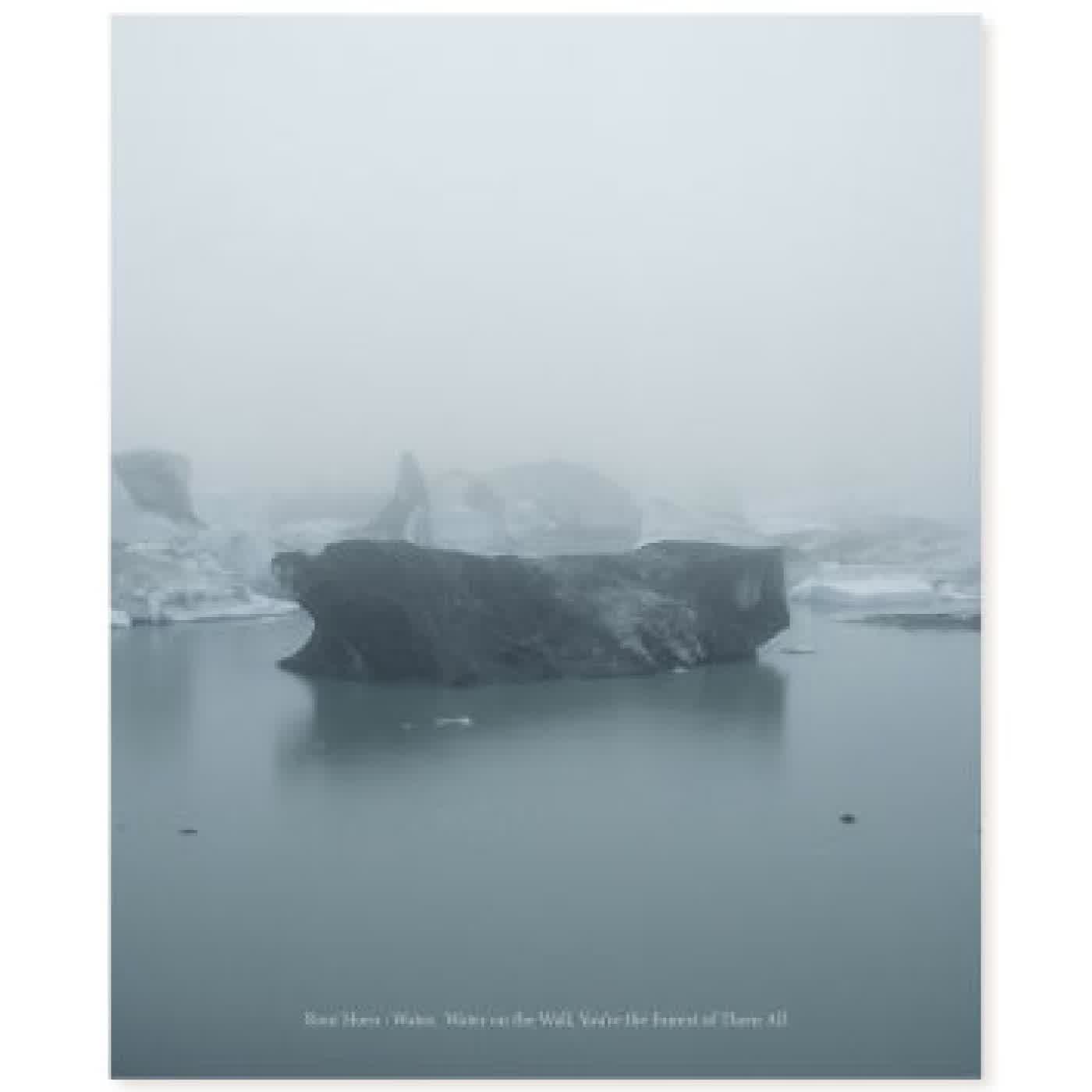 Read online: Roni Horn: Water Water On the Wall, You're the Fairest of Them All by Nora Burnett Abrams, Jarrett Earnest, Anne Carson, Roni Horn