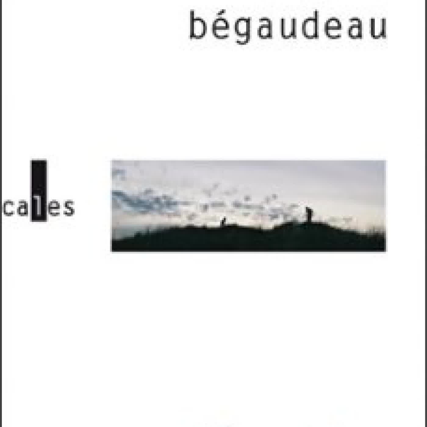 DÉSERTION François Bégaudeau