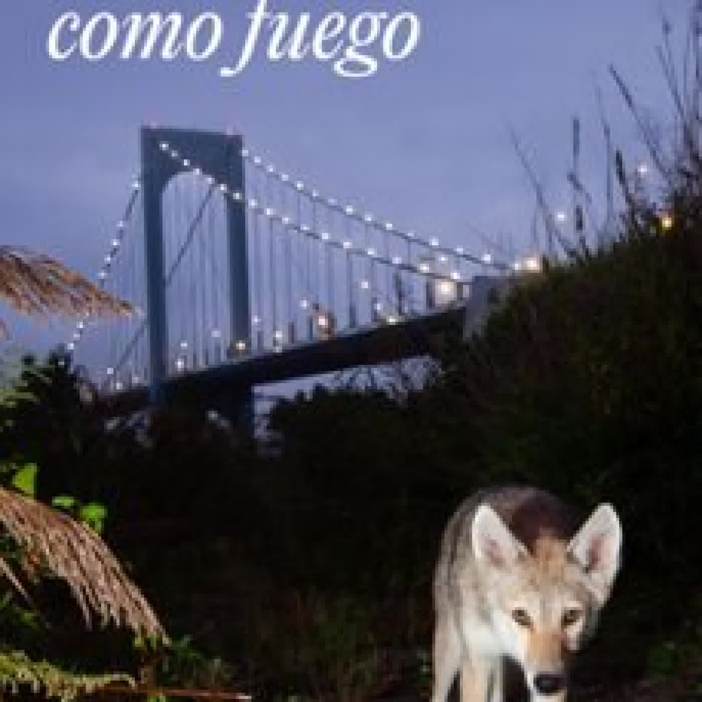 VOLVERÁN COMO FUEGO AYESHA L. RUBIO