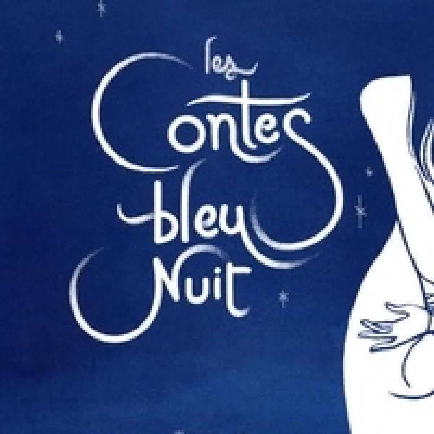Lire en ligne : Les contes bleu nuit