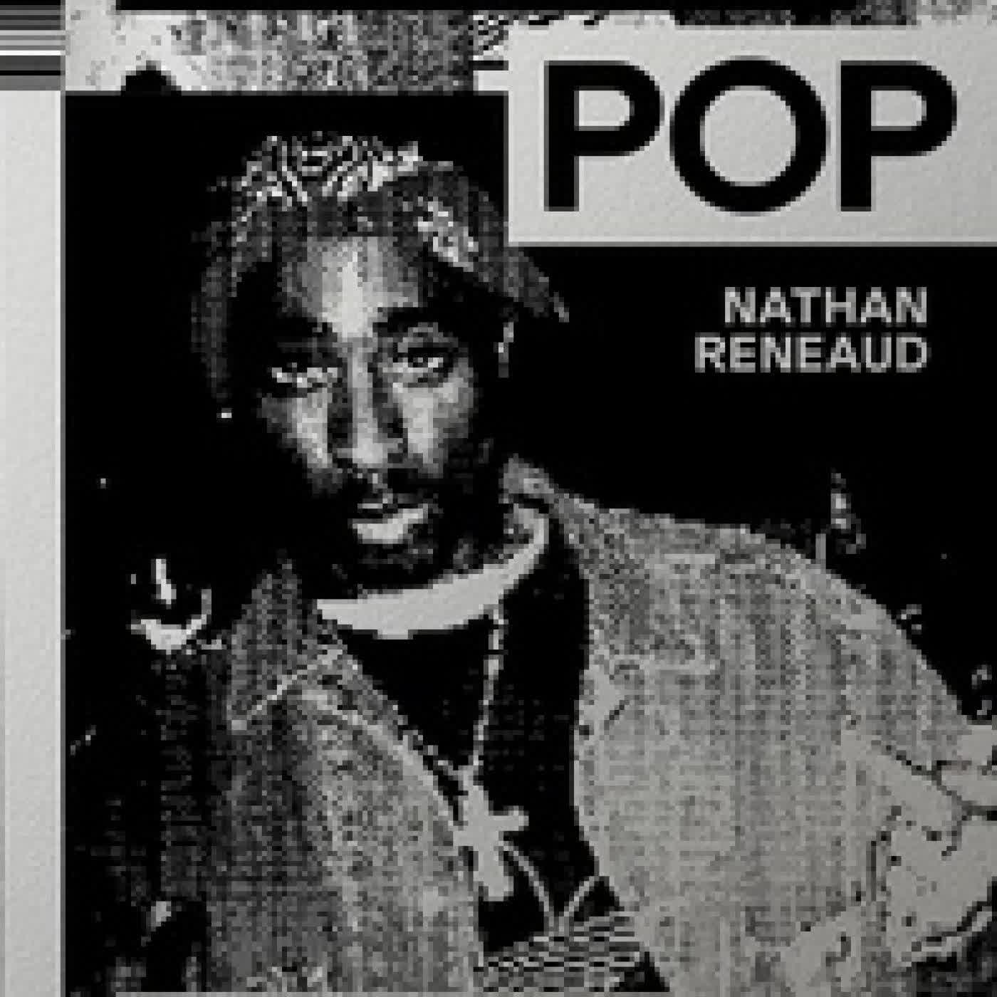 Télécharger Pdf Black Pop - Douze âmes de l'Amérique noire