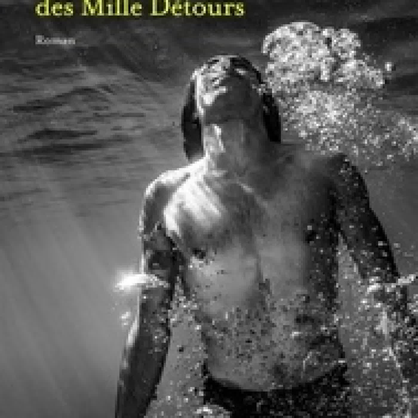 Lire en ligne : L'homme des mille détours