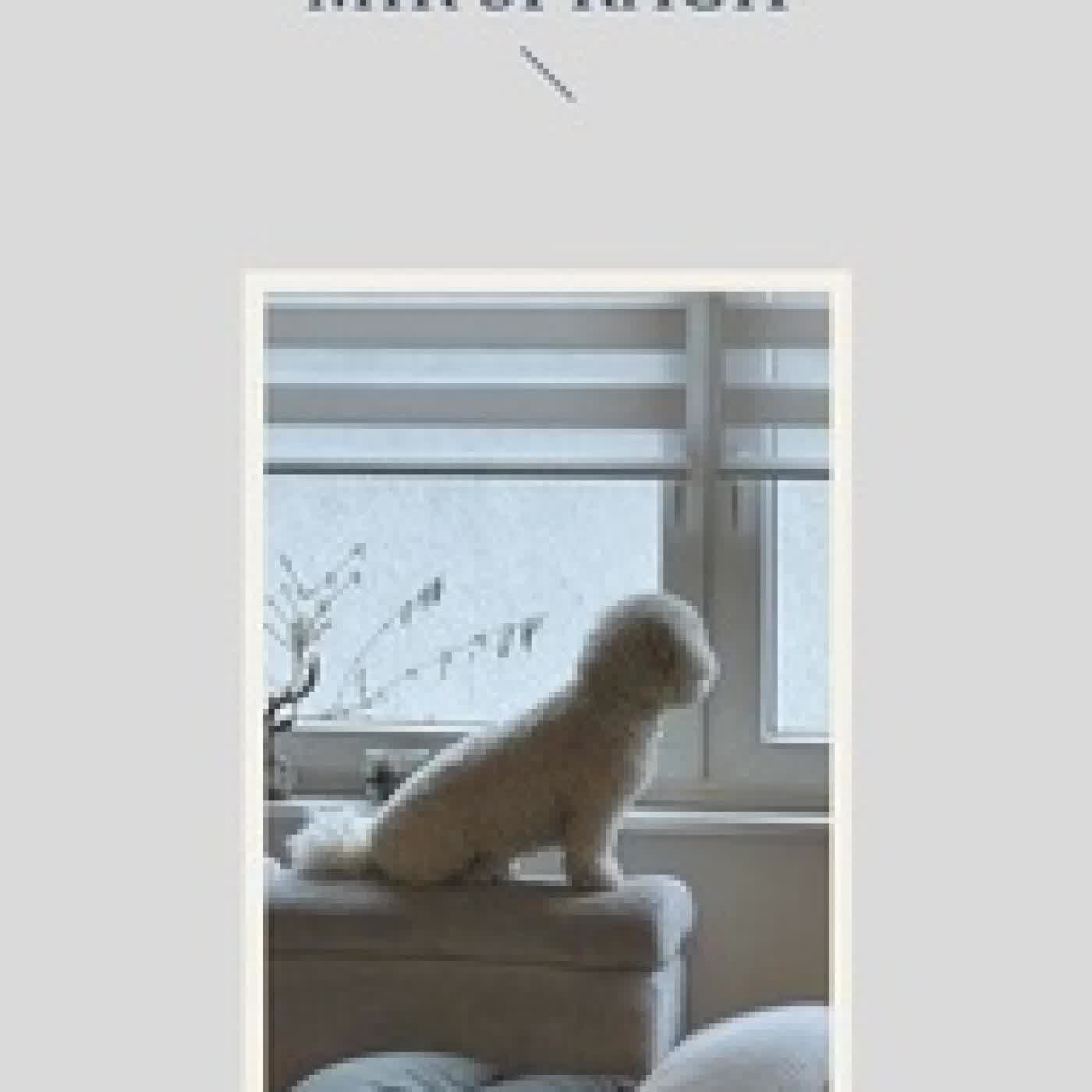 Lire en ligne : Der Tag, an dem mein Hund mit mir sprach - Hundeverstand trifft Menschheitsgeschichte – eine humorvolle Betrachtung