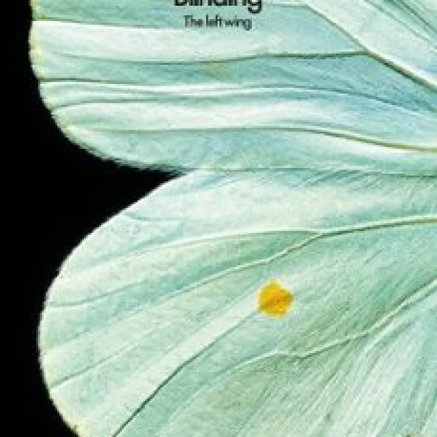 BLINDING: THE LEFT WING Mircea Cartarescu