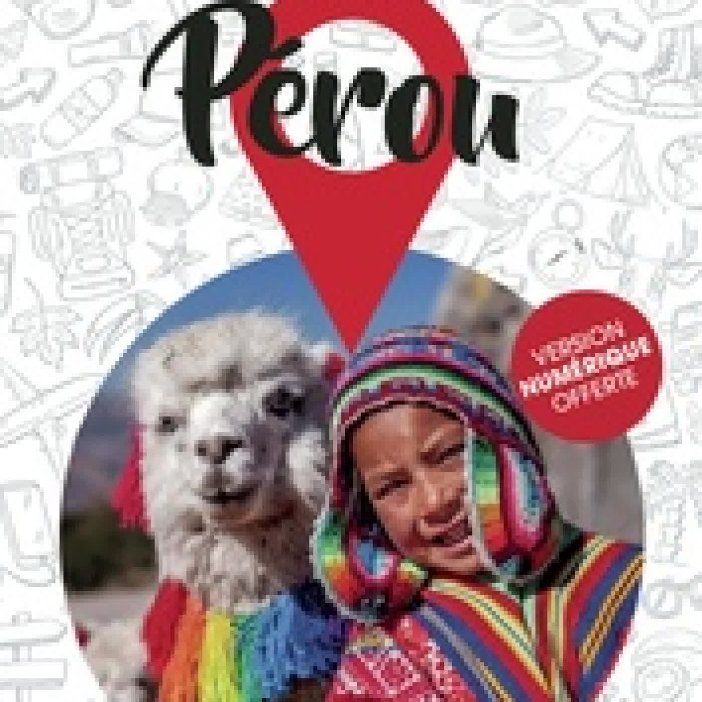 Lire en ligne : Petit Futé Pérou