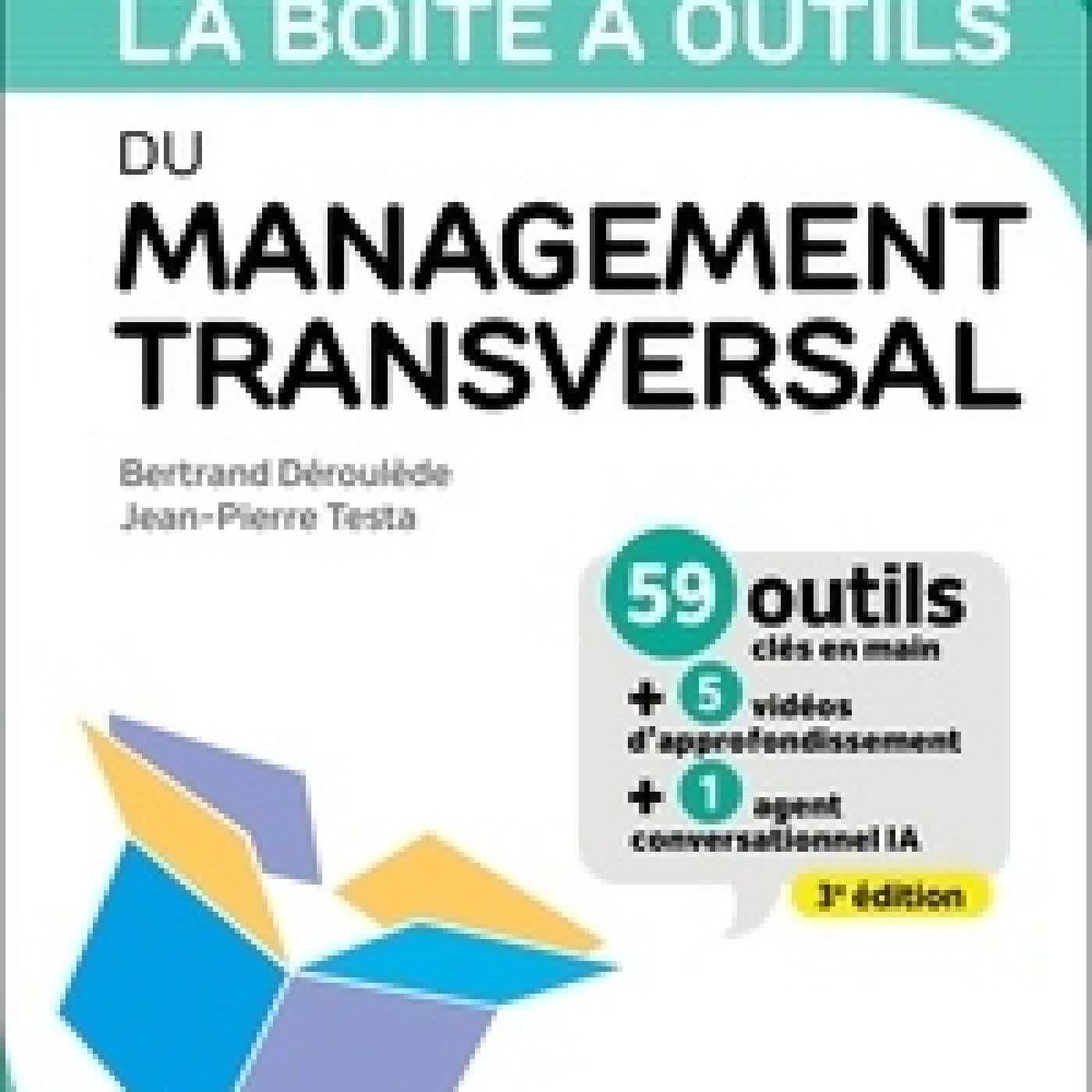 Lire en ligne : La boîte à outils du Management transversal3e édition