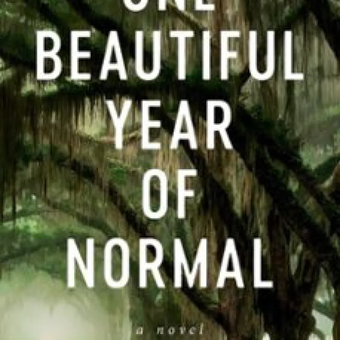 ONE BEAUTIFUL YEAR OF NORMAL SANDRA K. GRIFFITH