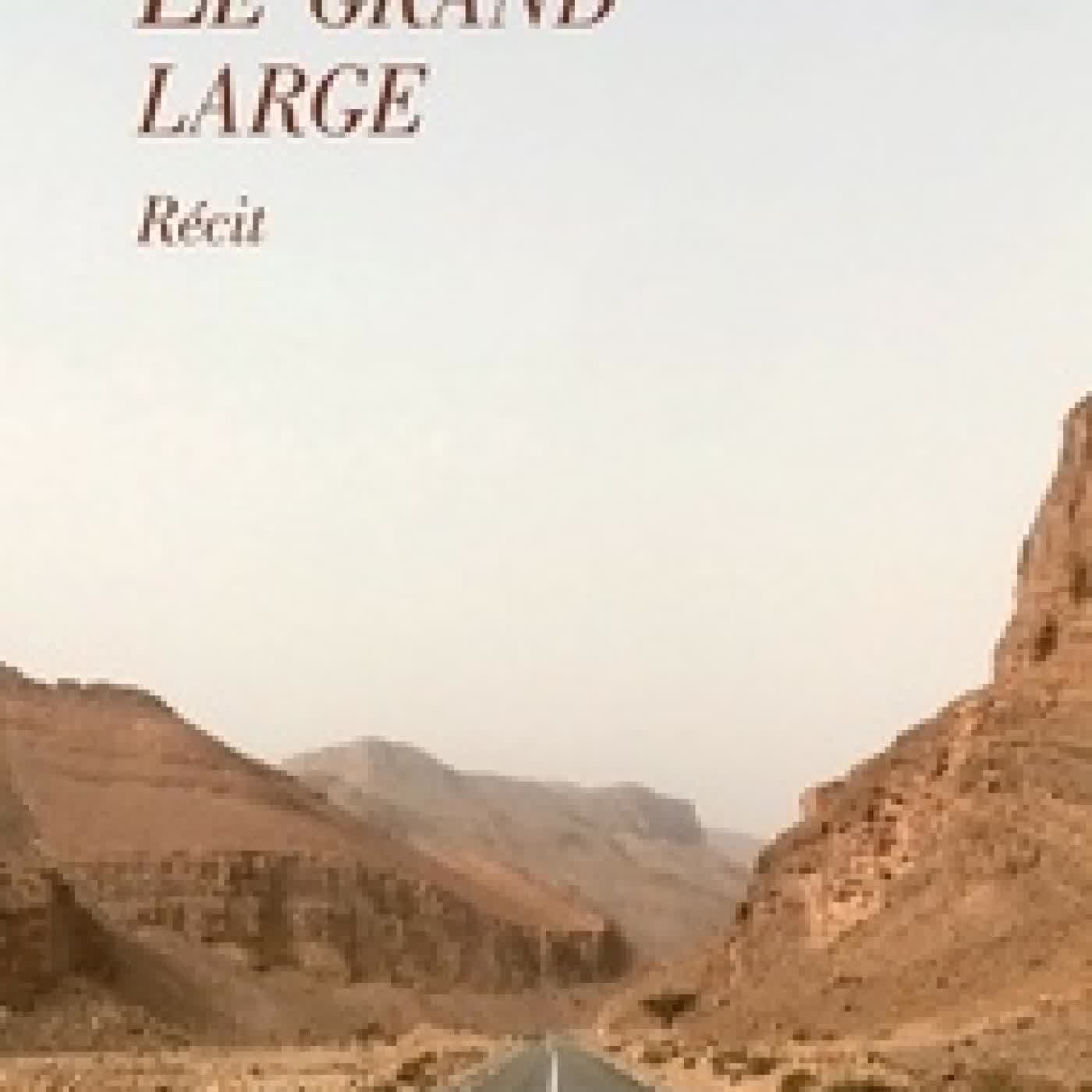 Lire en ligne : Le grand large