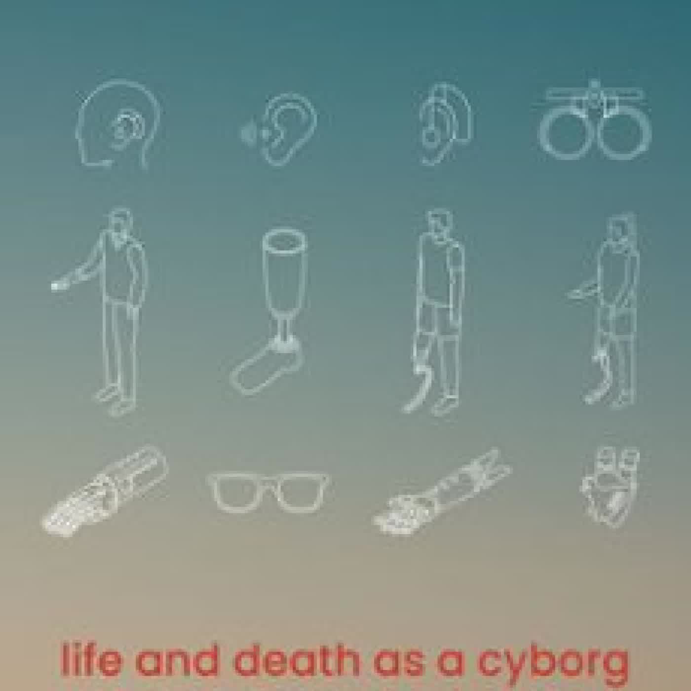 AUGMENTED CANDI CANN