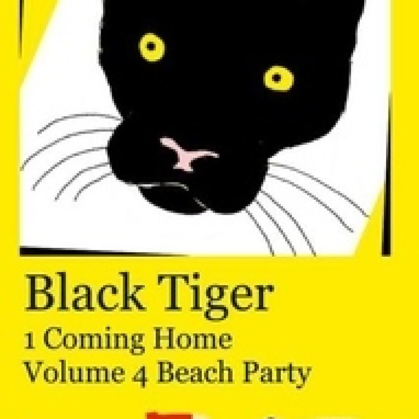 Lire en ligne : Black Tiger 1 Coming Home - Volume 4 Beach Party