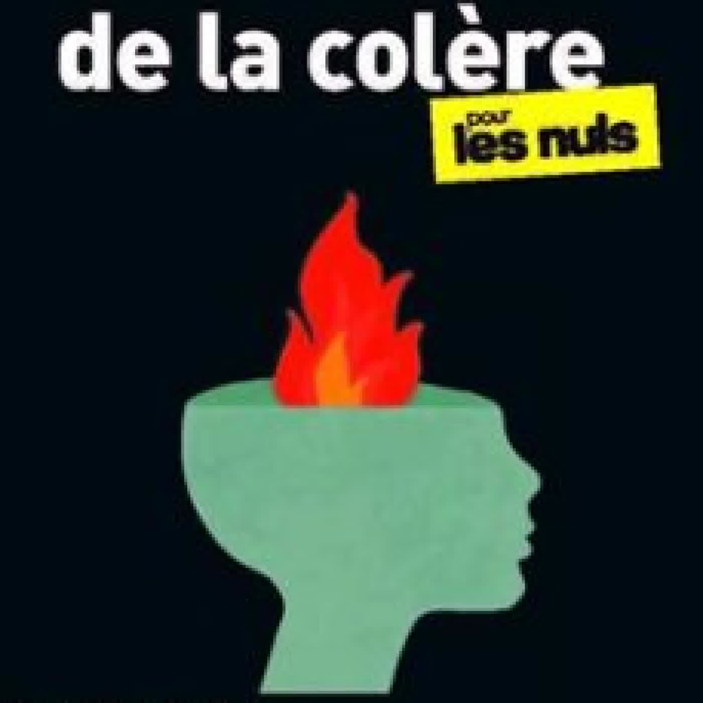 LA GESTION DE LA COLÈRE POUR LES NULS W. DOYLE GENTRY