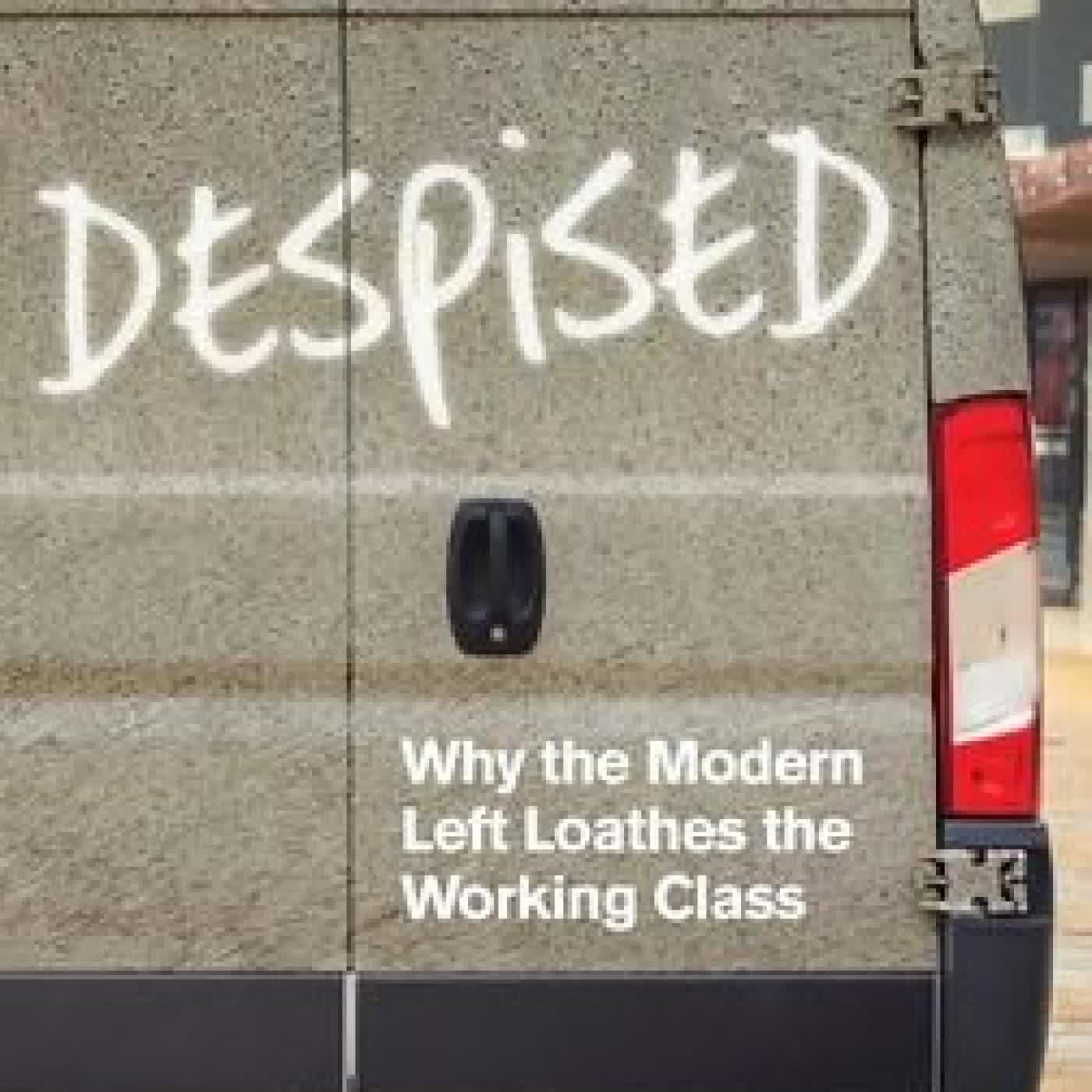 Despised: Why the Modern Left Loathes the Working Class by Paul Embery on Iphone New Format