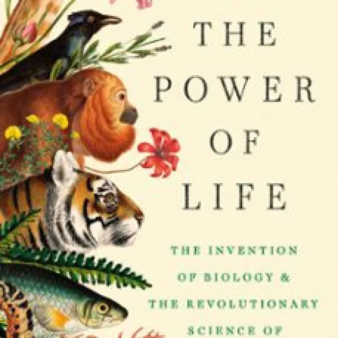 THE POWER OF LIFE JESSICA RISKIN