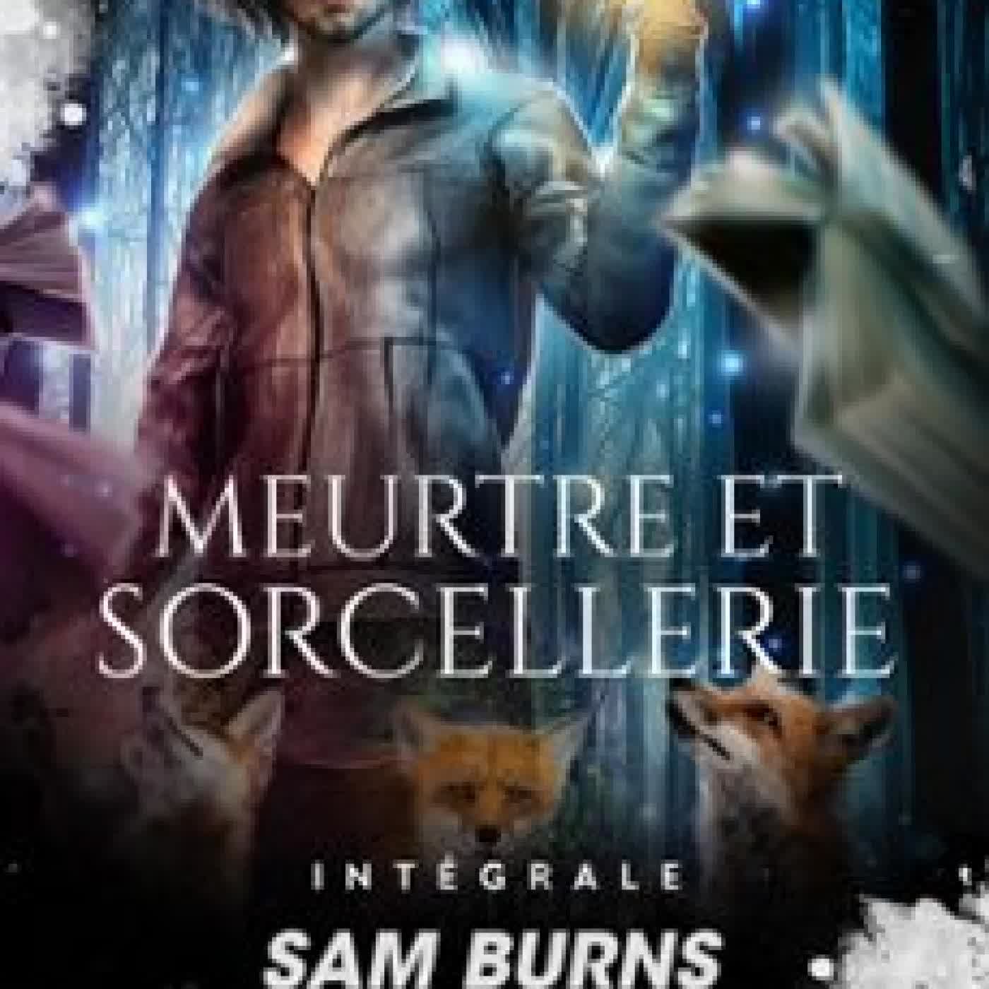 MEURTRE ET SORCELLERIE - L'INTÉGRALE SAM BURNS
