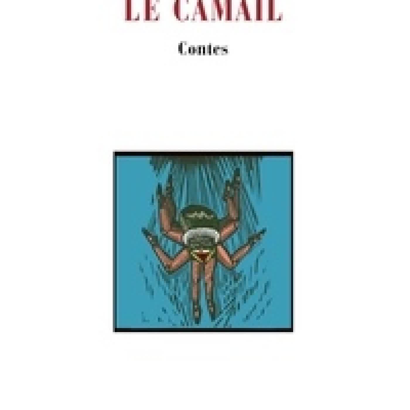 {téléchargement} Le camail et autres contes