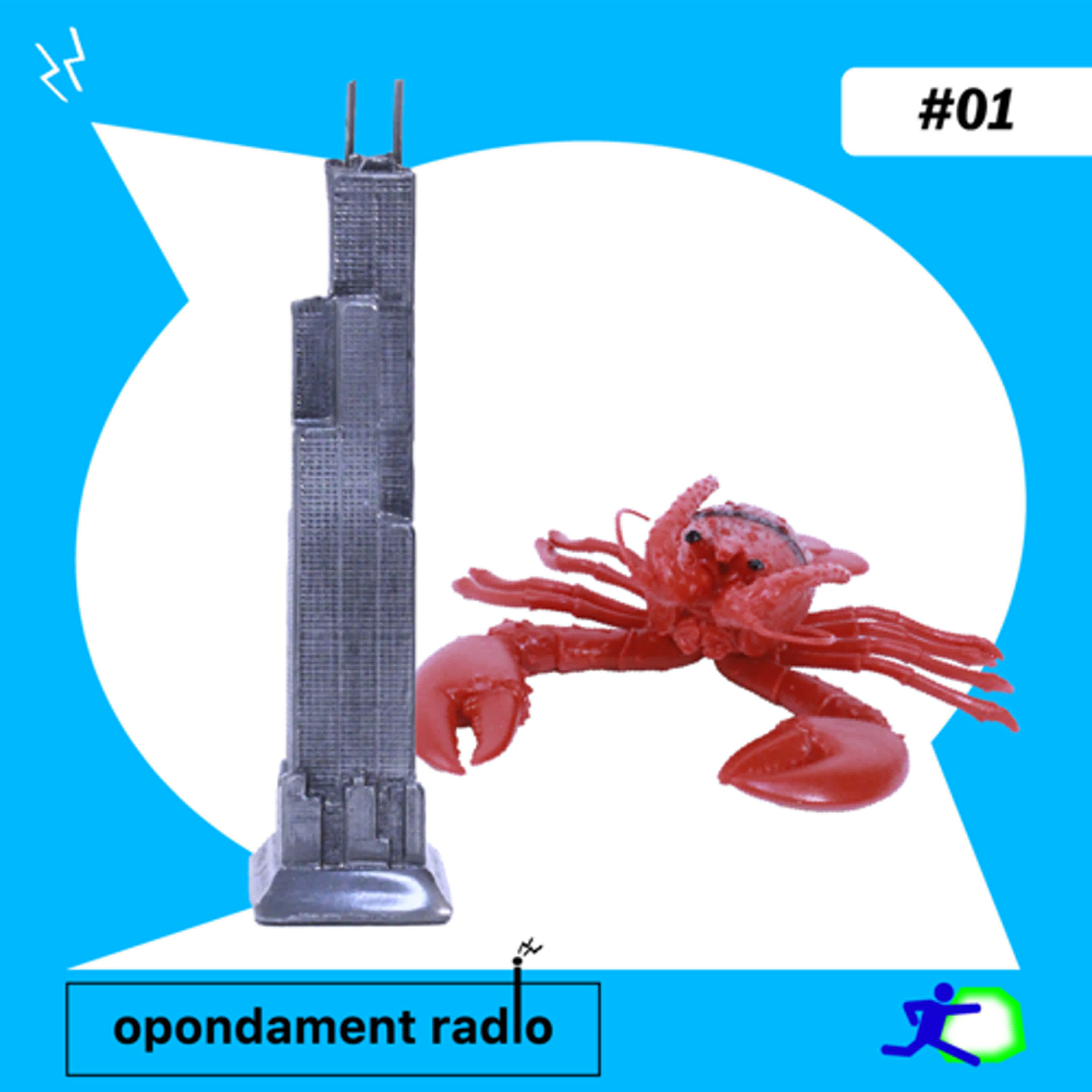 opondament radio
