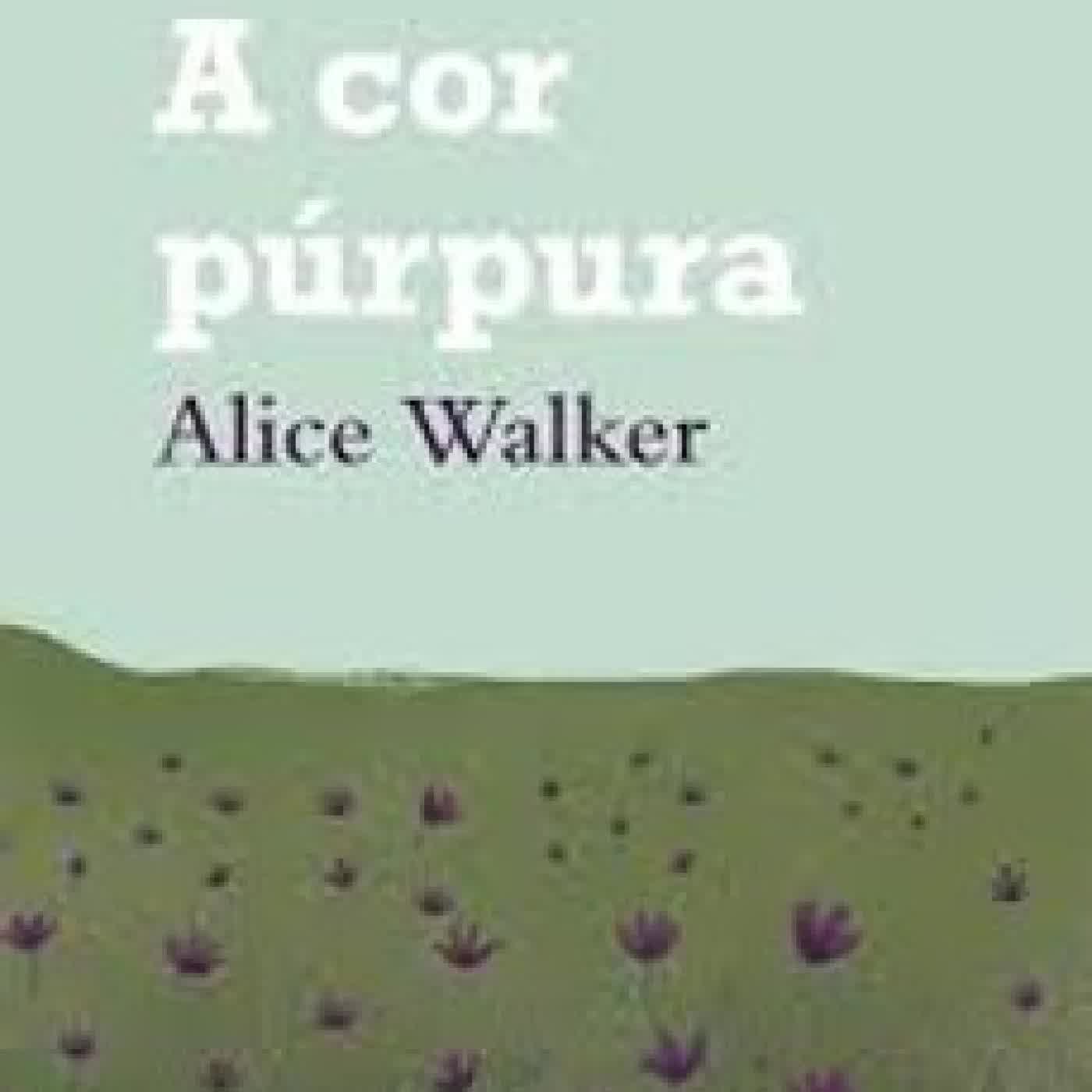 A COR PURPURA ALICE WALKER