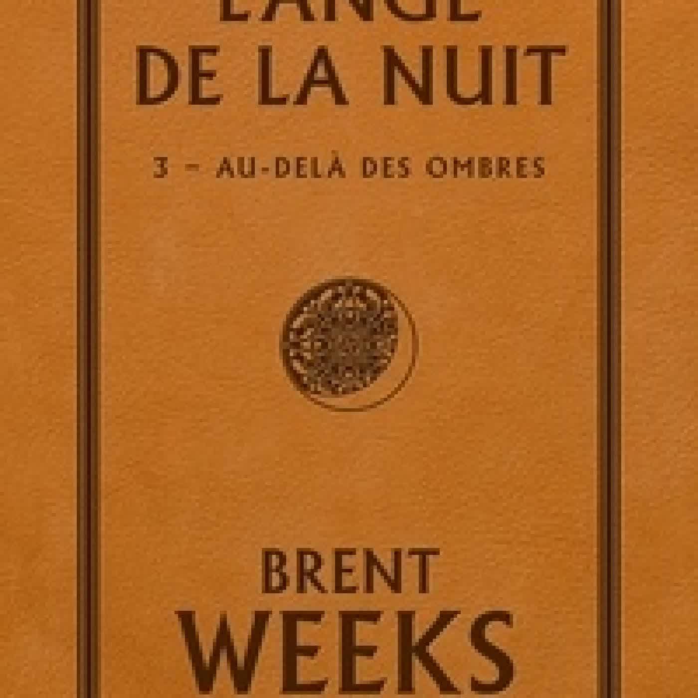 Lire en ligne : L'Ange de la Nuit Tome 3