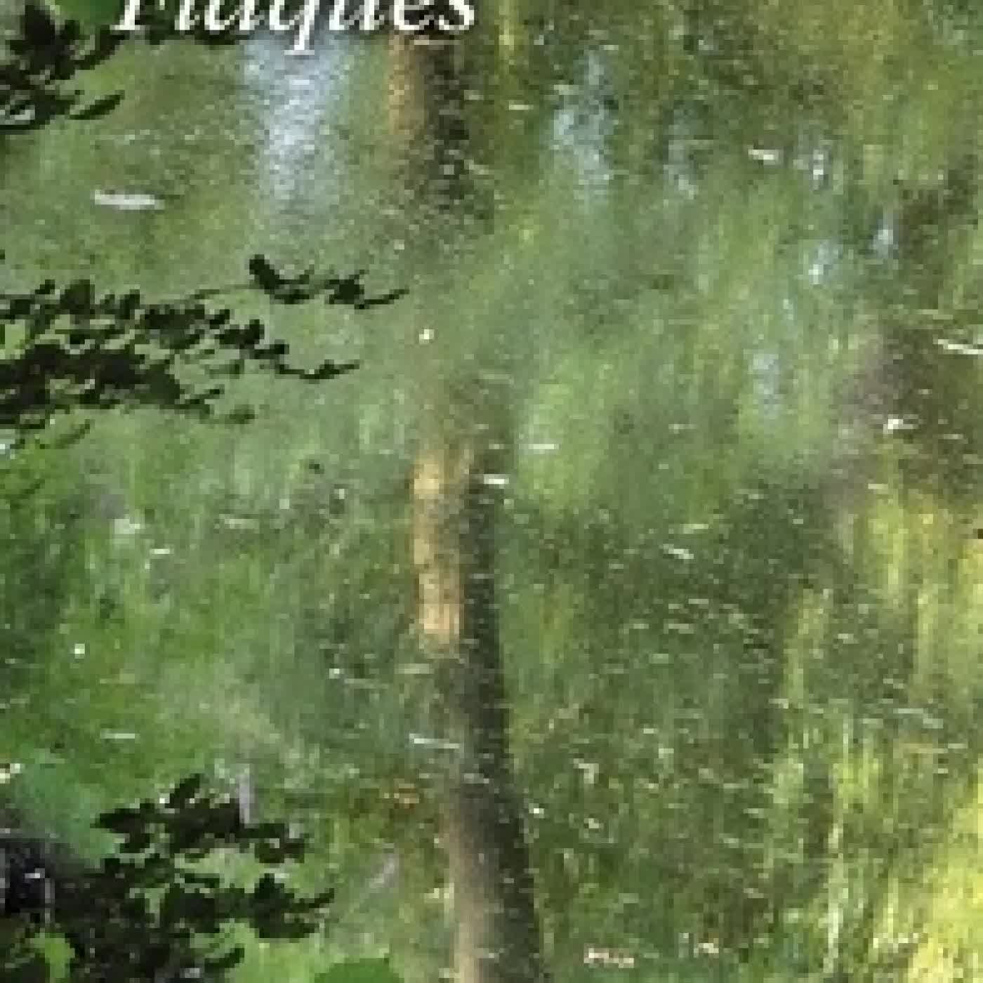 {téléchargement} Flaques