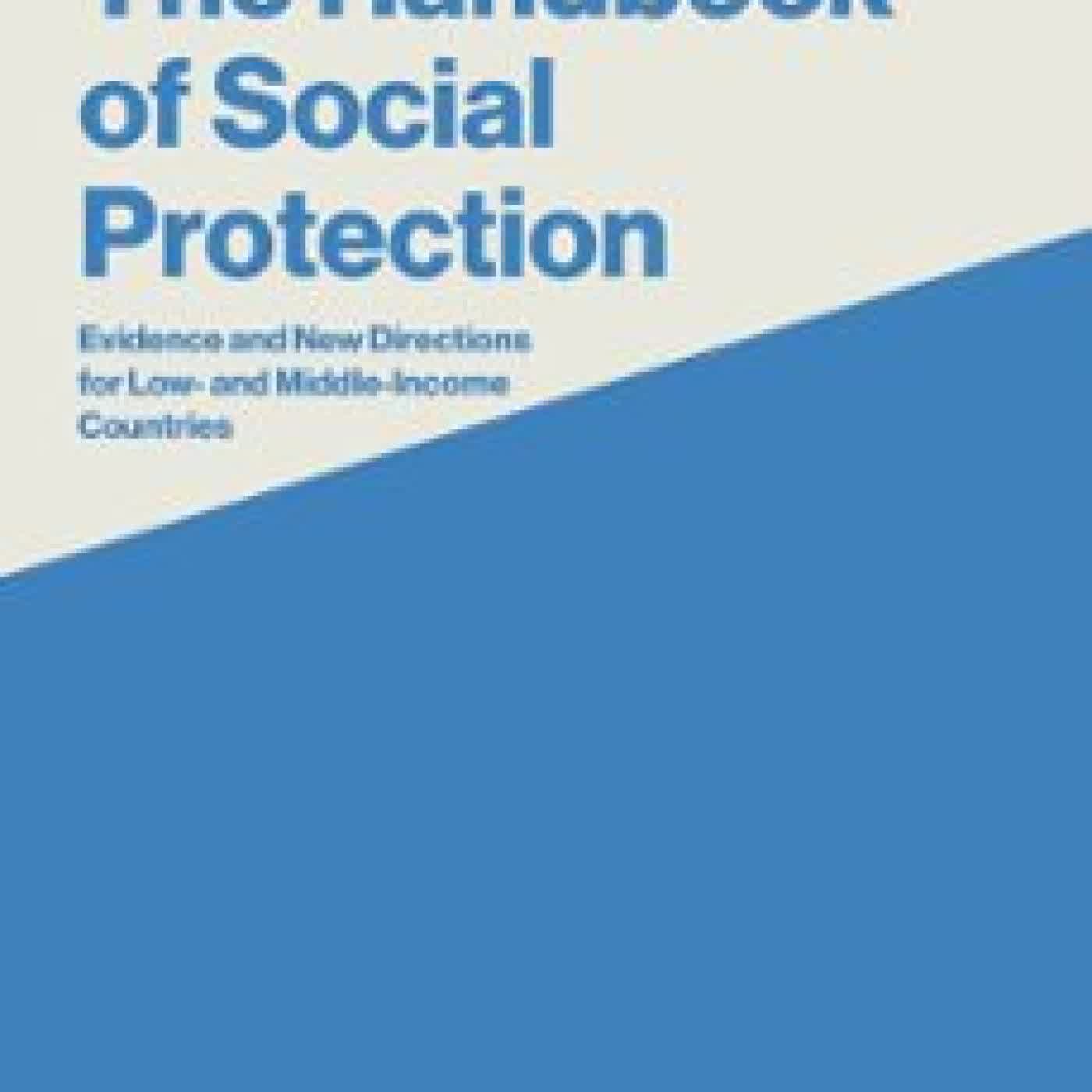 THE HANDBOOK OF SOCIAL PROTECTION