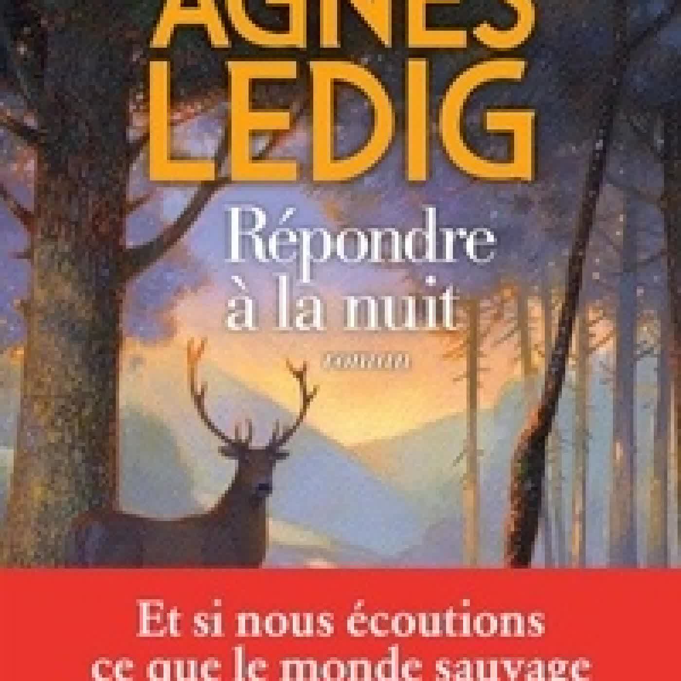 Lire en ligne : Répondre à la nuit