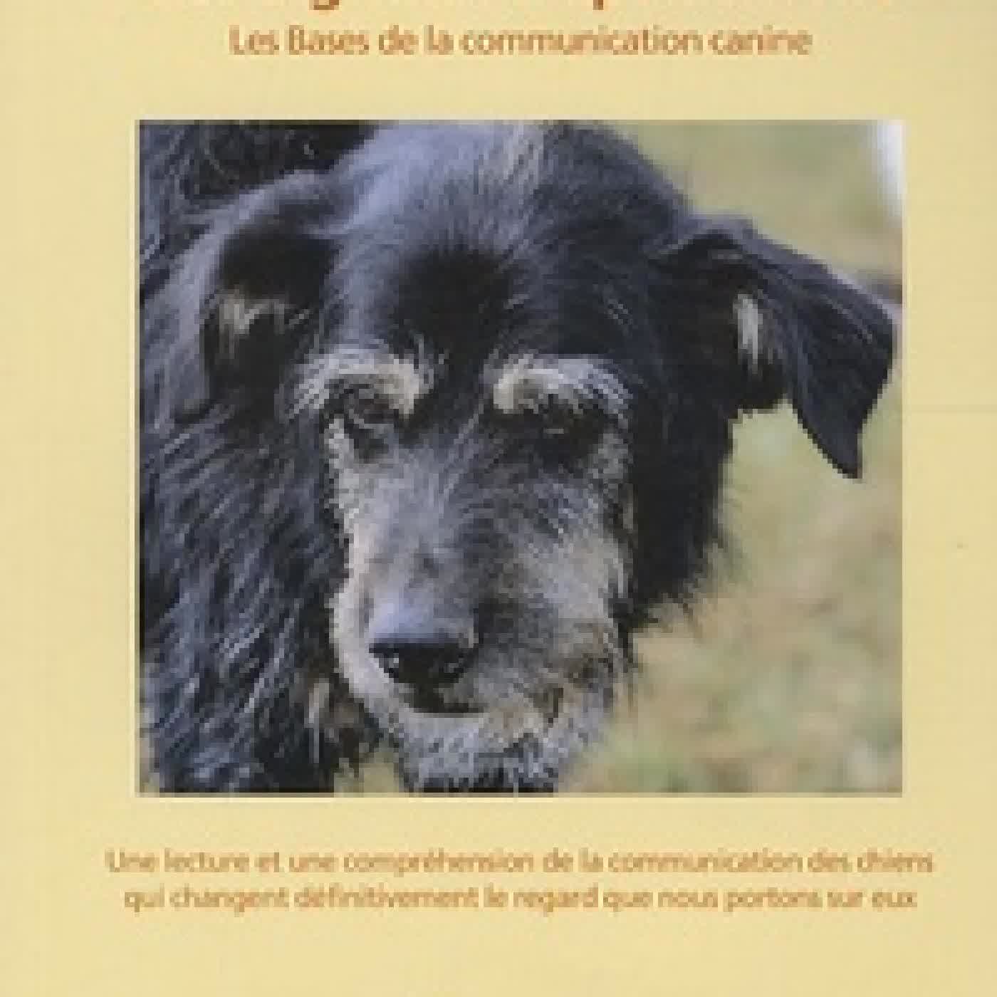 {téléchargement} Les signaux d'apaisement - Les bases de la communication canine