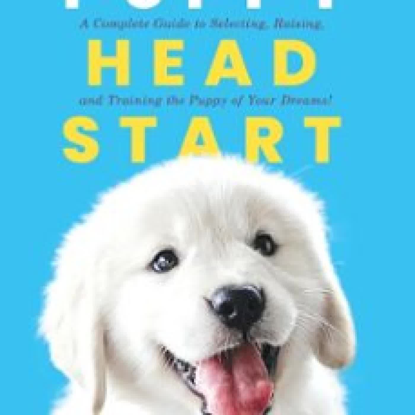 THE PUPPY HEAD START AMY PISHNER