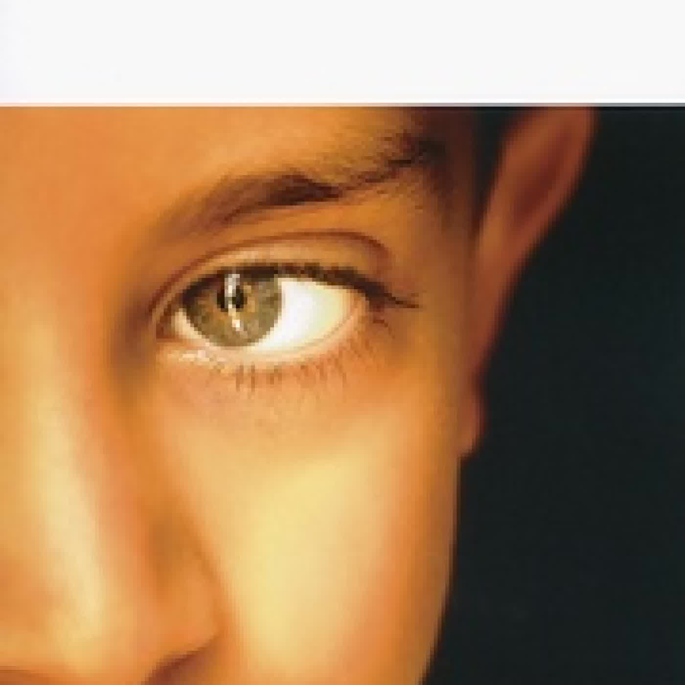 Télécharger Pdf L'orangeraie