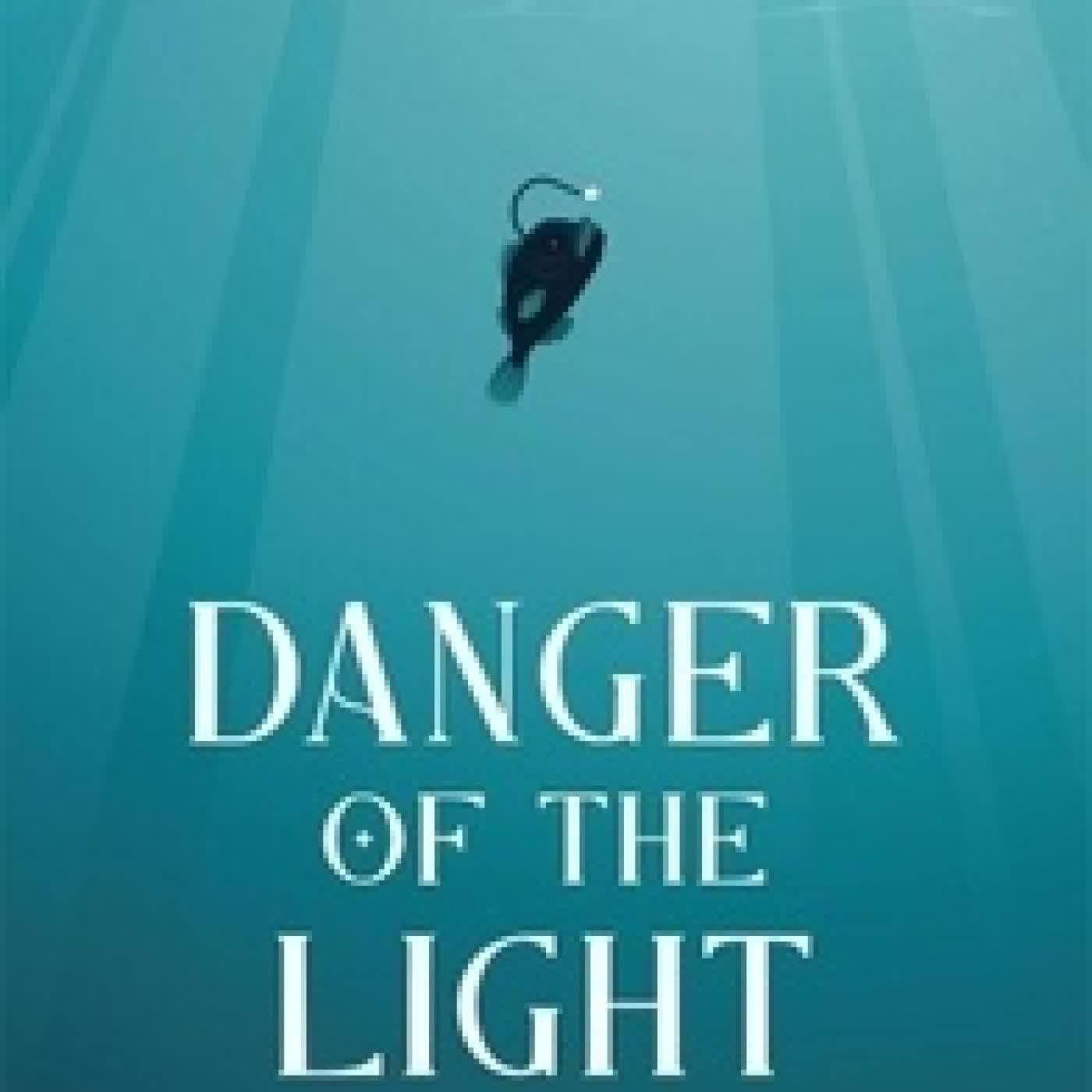 {téléchargement} Danger of the Light