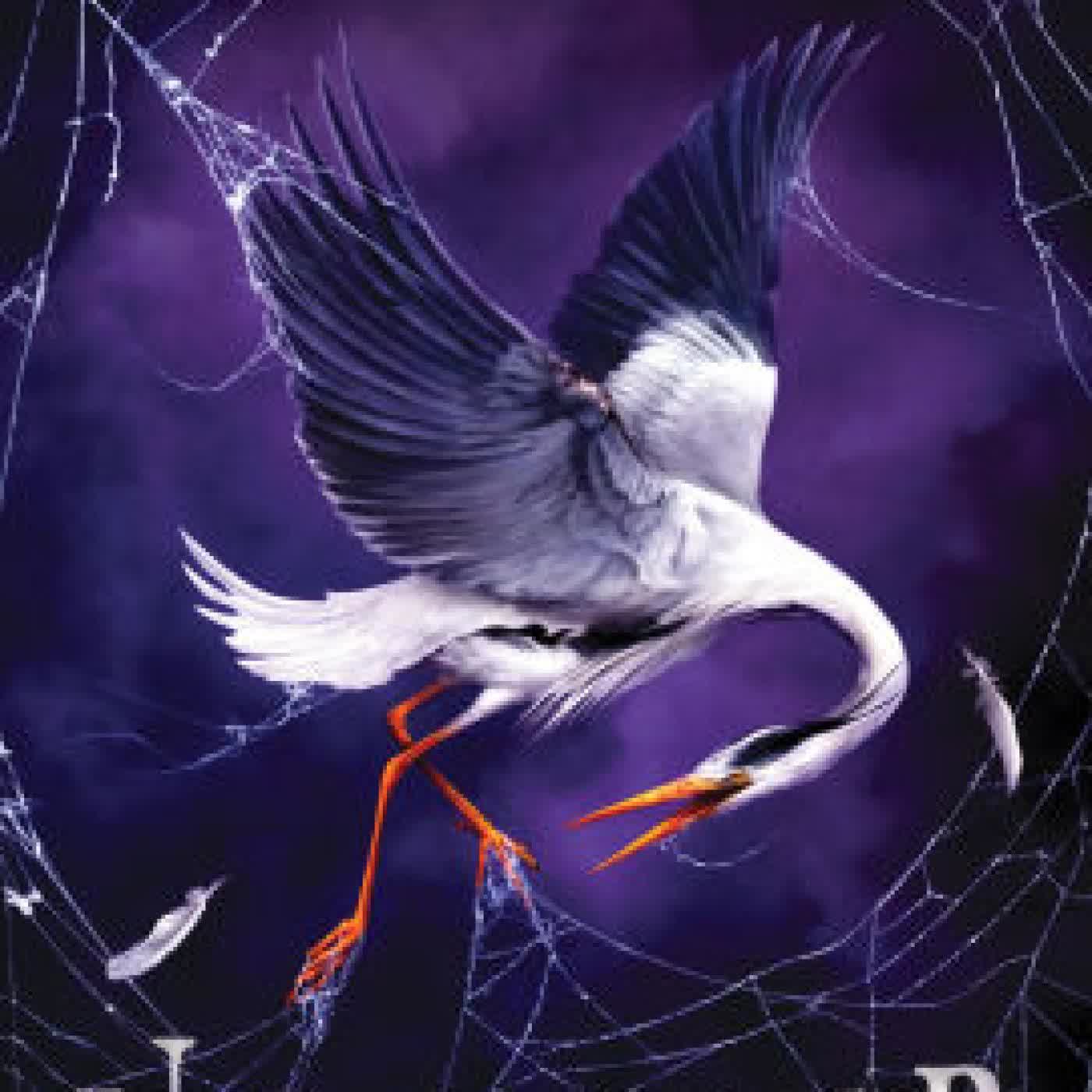 Read online: Unraveller: A Novel by Frances Hardinge