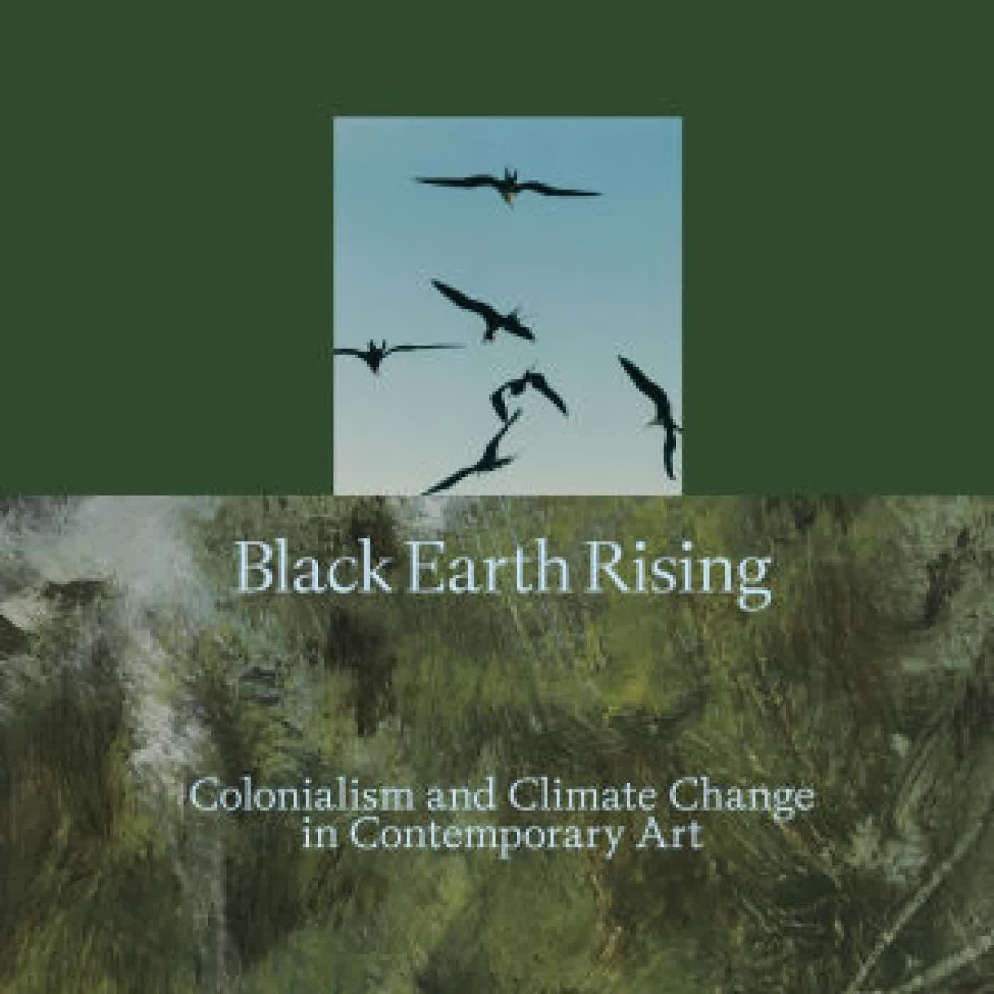 Read online: Black Earth Rising: Colonialism and Climate Change in Contemporary Art by Ekow Eshun, Anna Arabindan-Kesson, Macarena Gómez-Barris
