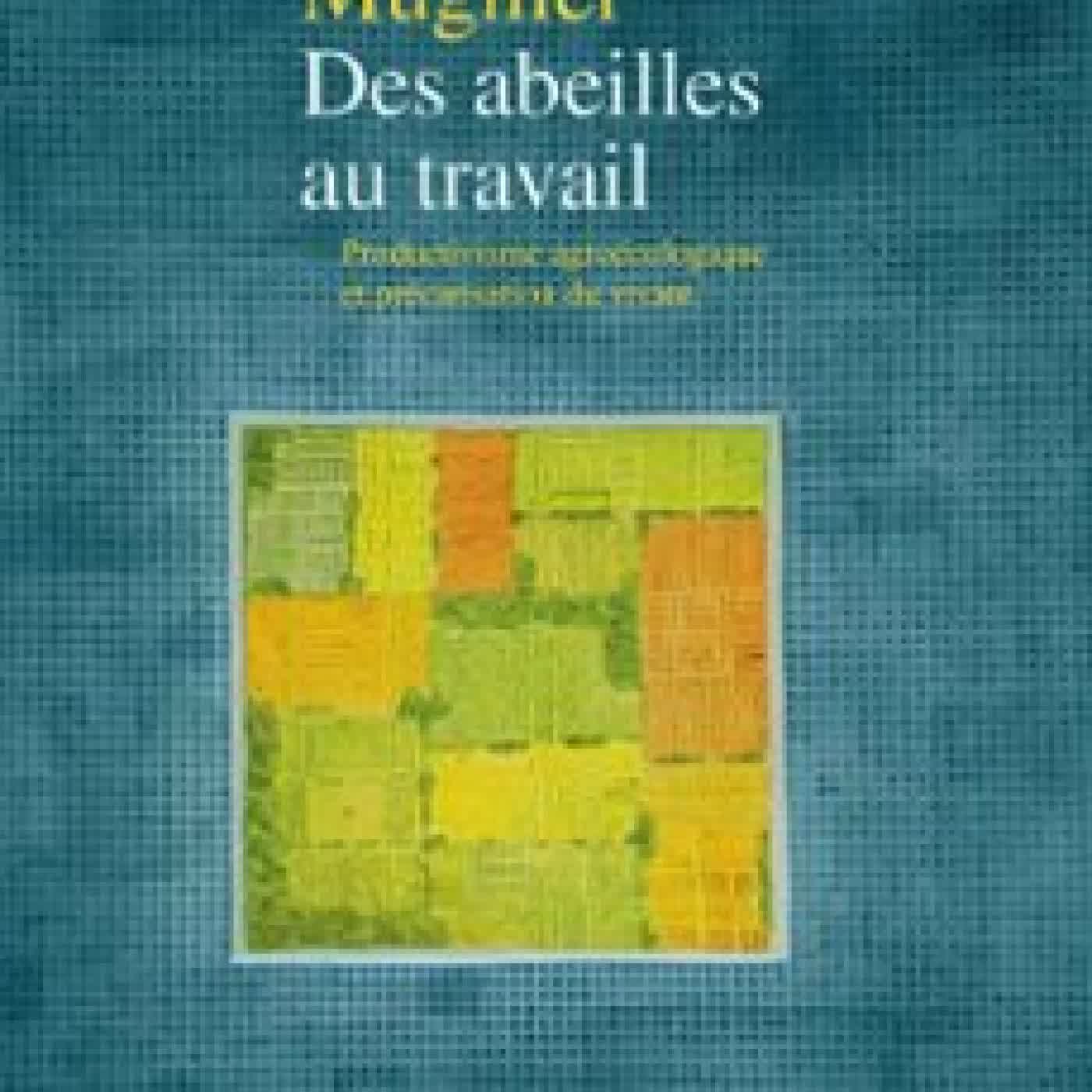 DES ABEILLES AU TRAVAIL ROBIN MUGNIER