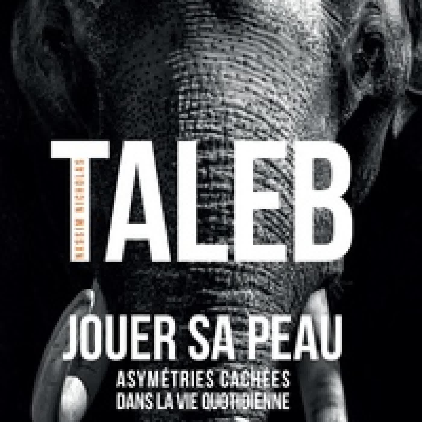 {téléchargement} Jouer sa peau - Asymétries cachées dans la vie quotidienne