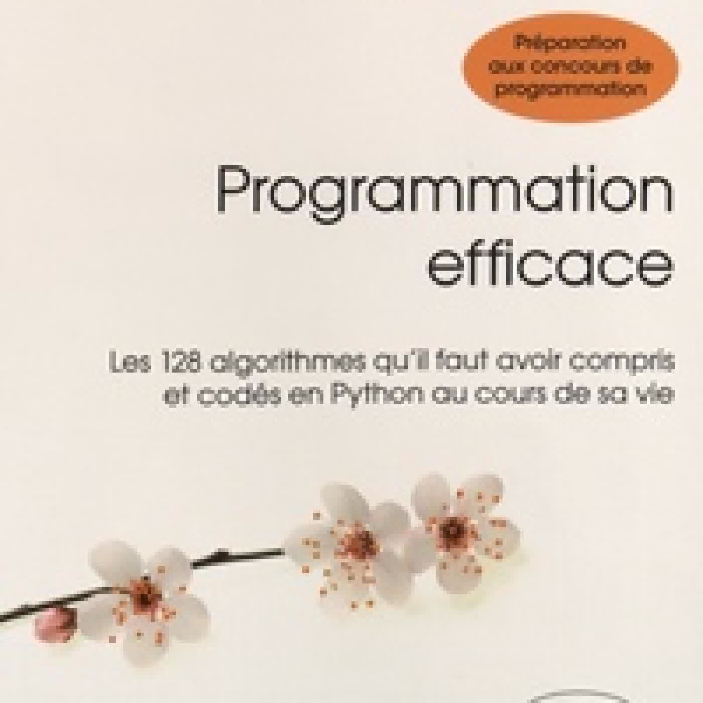 Télécharger Pdf Programmation efficace - Les 128 algorithmes qu'il faut avoir compris et codés en Python au cours de sa vie