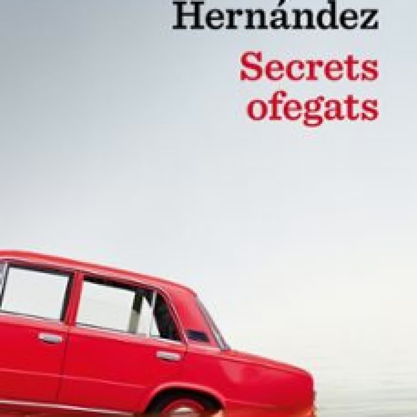 SECRETS OFEGATS Susana Hernández