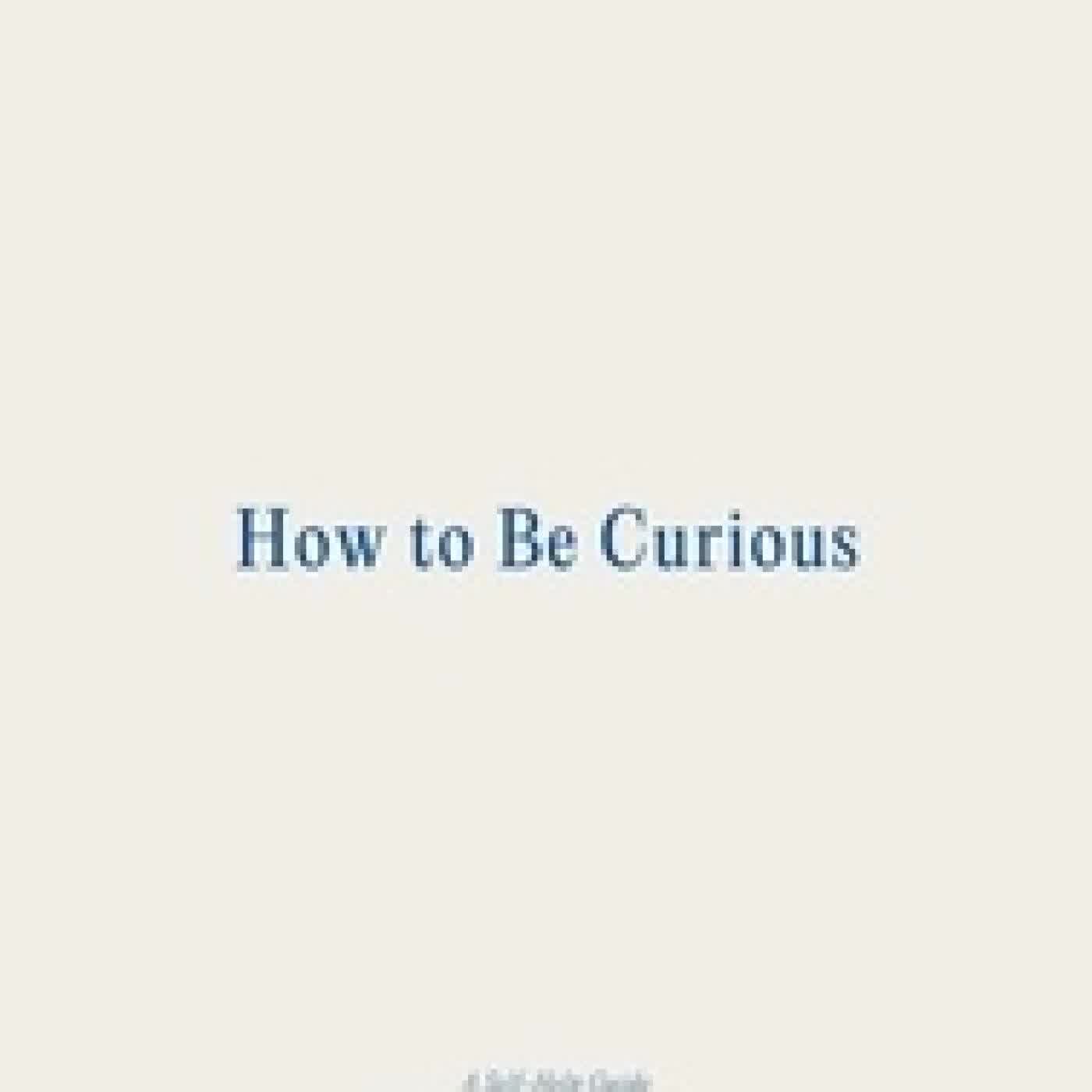 Télécharger Pdf How to Be Curious