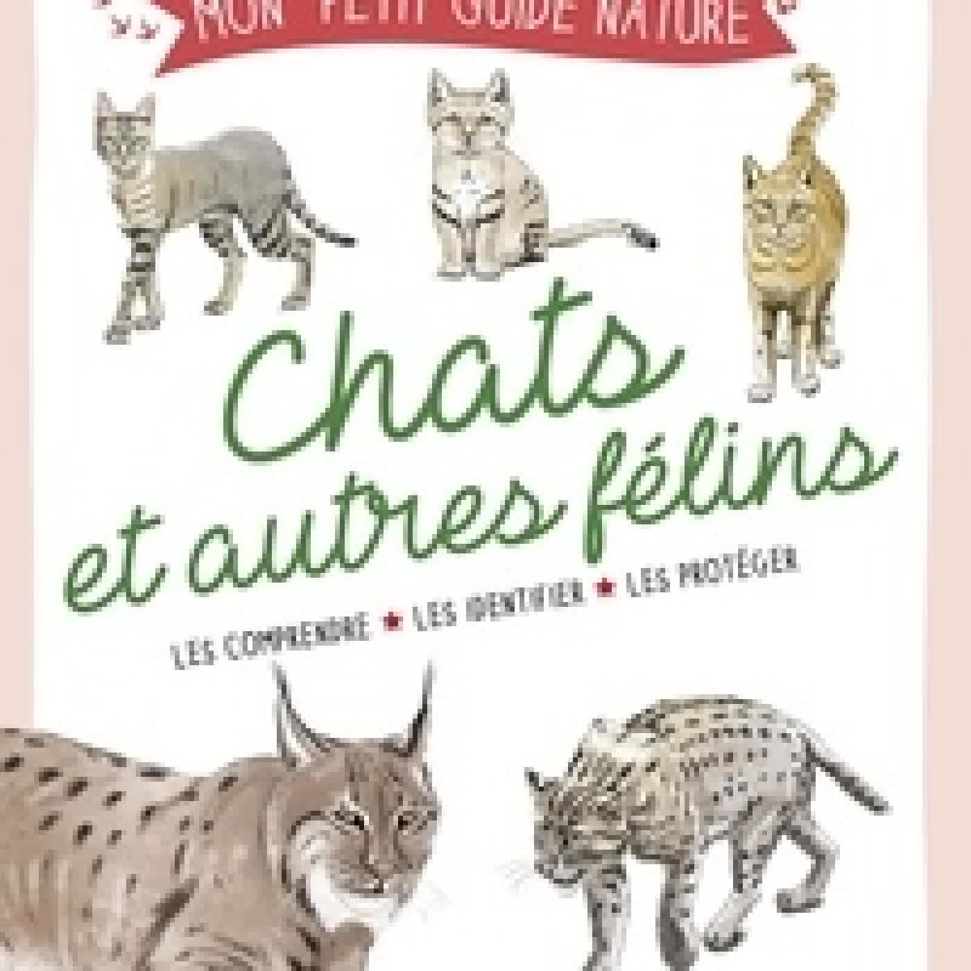 Lire en ligne : Chats et autres félins - Les reconnaître - Les comprendre - Les protéger