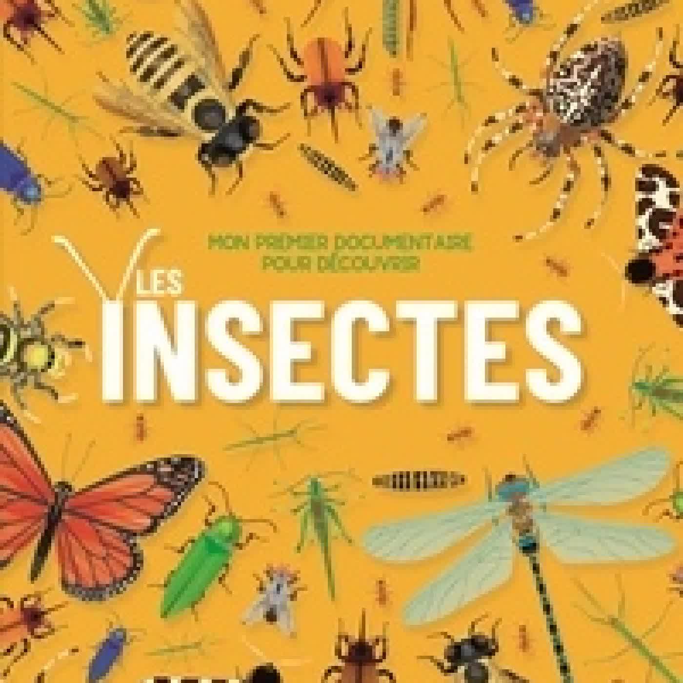 Lire en ligne : Les insectes
