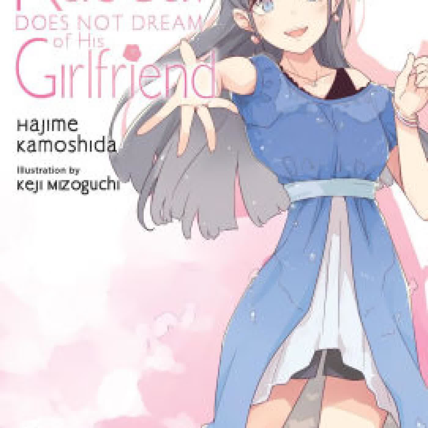 Rascal Does Not Dream of His Girlfriend (light novel) by Hajime Kamoshida, Keji Mizoguchi, Andrew Cunningham on Iphone New Format