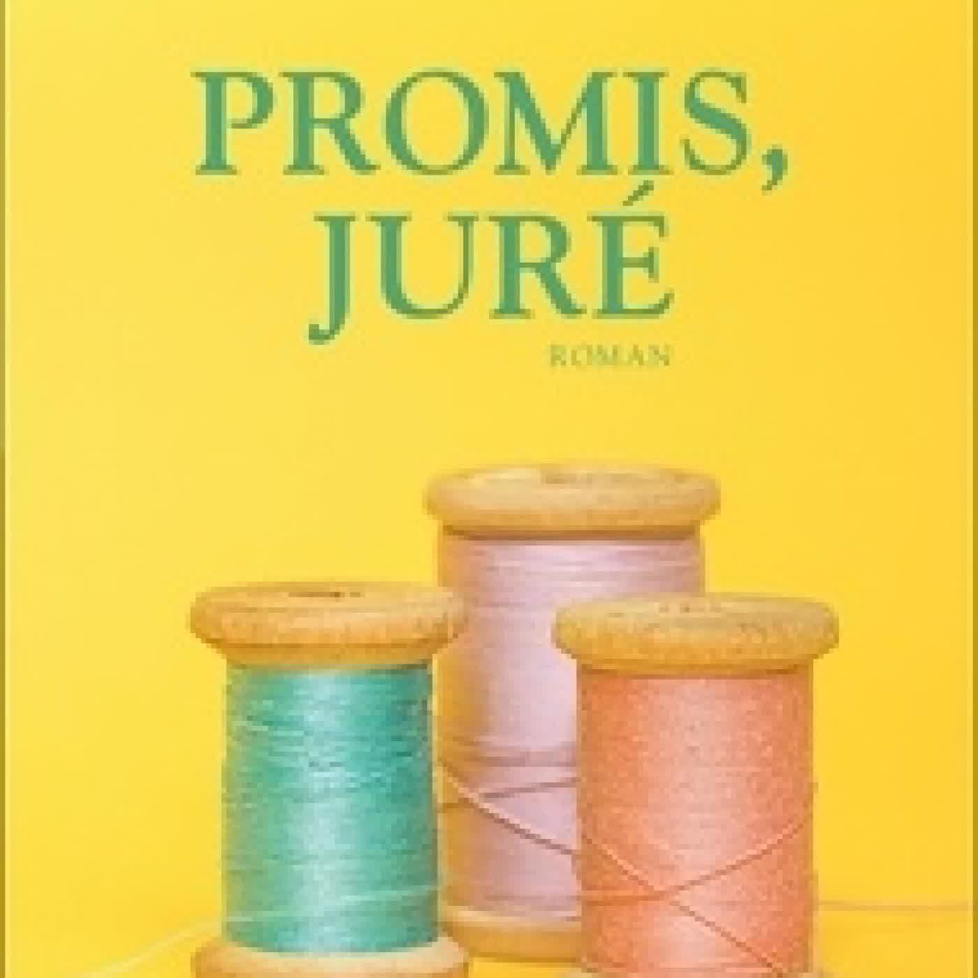 {téléchargement} Promis, juré